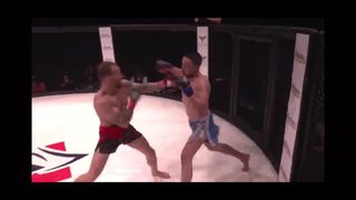 Trever Bradshaw highlights