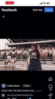 Hornets video
