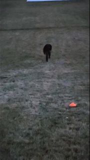 Speed workout 2/9/26