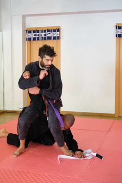 Jiu-Jitsu / Jujutsu