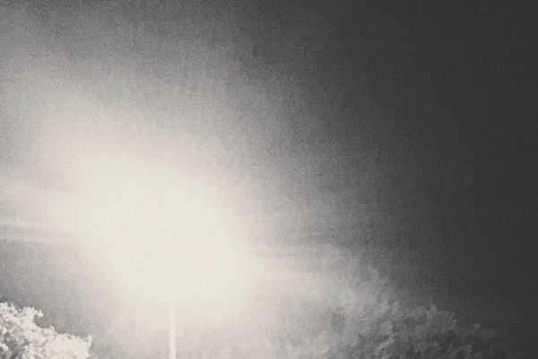 Brooks Young